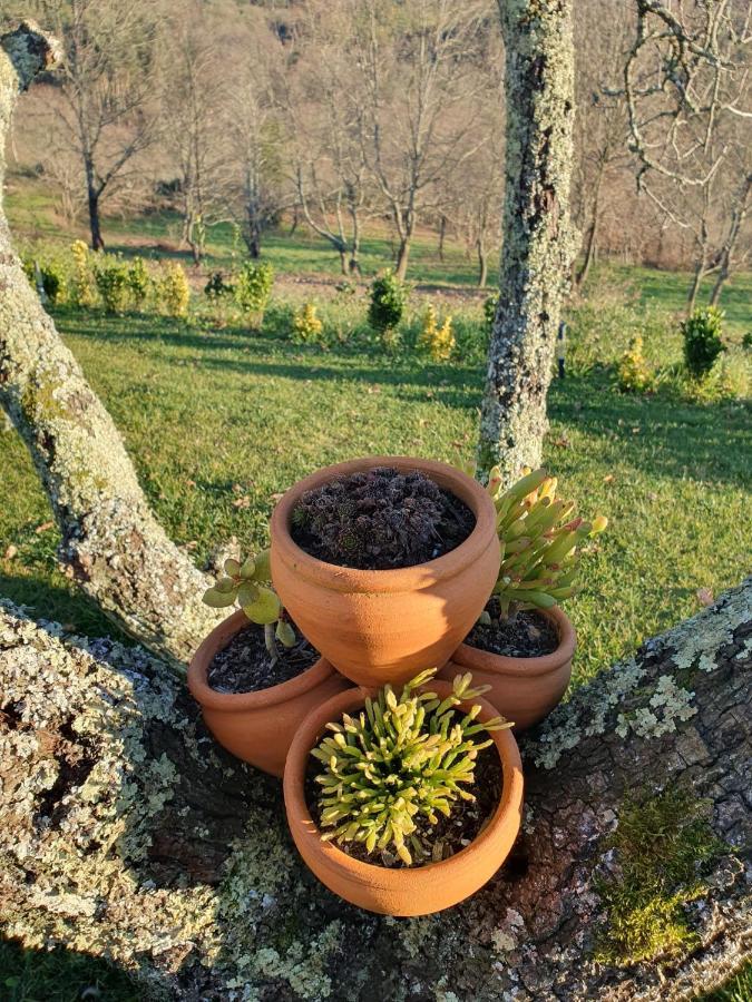 Quinta De Cerdeiro Villa Moes Buitenkant foto